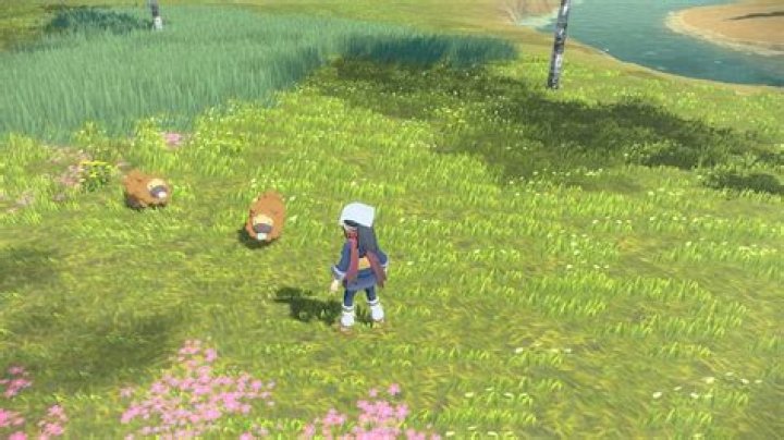 What are Effort Levels (EL) in Pokémon Legends: Arceus?