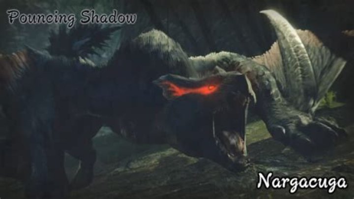 What are Nargacuga weaknesses, resistances, & drops | Monster Hunter Rise