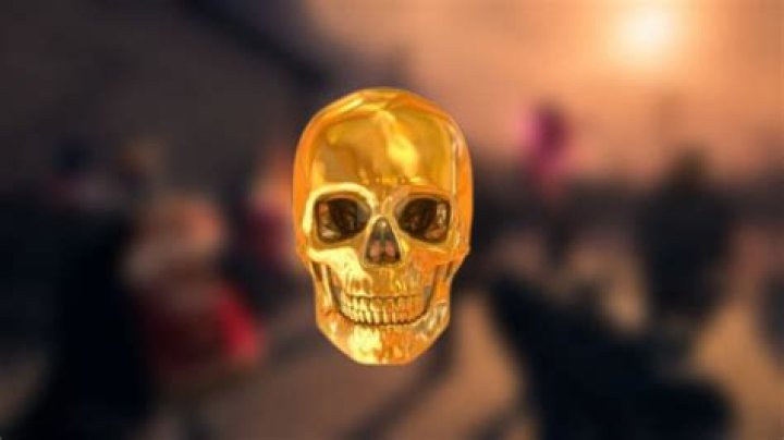 What Does the Gold Skull Do in MW3 Zombies?