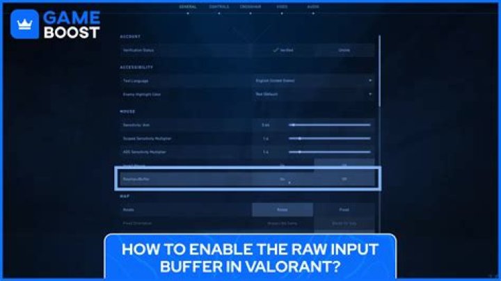 What is Raw Input Buffer in Valorant?