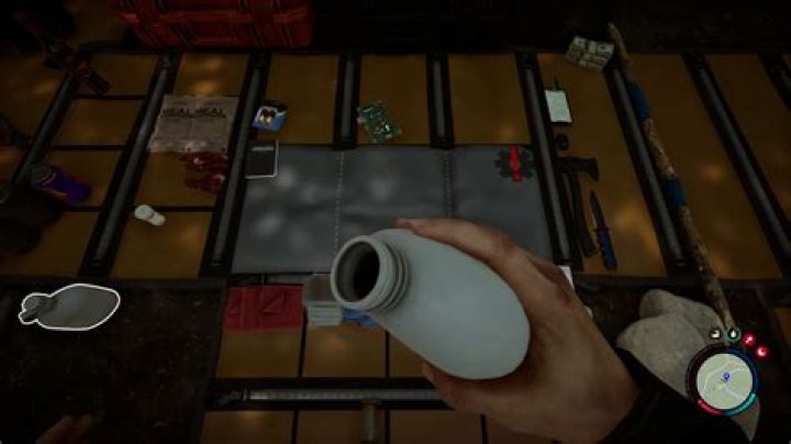 What is the Best Source of Clean Water in Sons of the Forest? Dirty Water, Explained