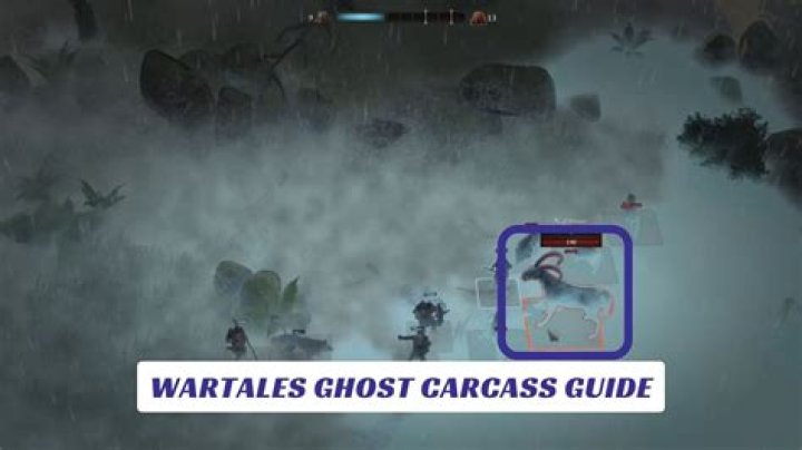 What is Wartales Ghost Carcass Used For?