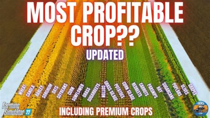 What's the most profitable crop in fs22?