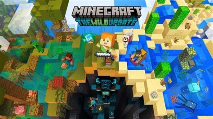 When does Minecraft The Wild update come out?