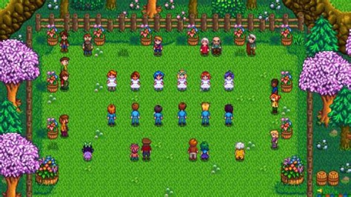 Where is the Flower Dance in Stardew Valley? Answered