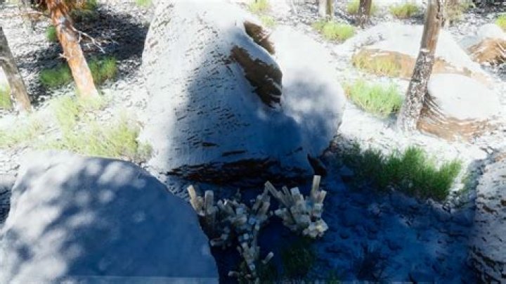 Where To Find Crystals In Ark: Survival Ascended