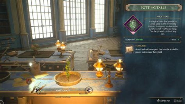 Where to Find Knotgrass Sprig in Hogwarts Legacy