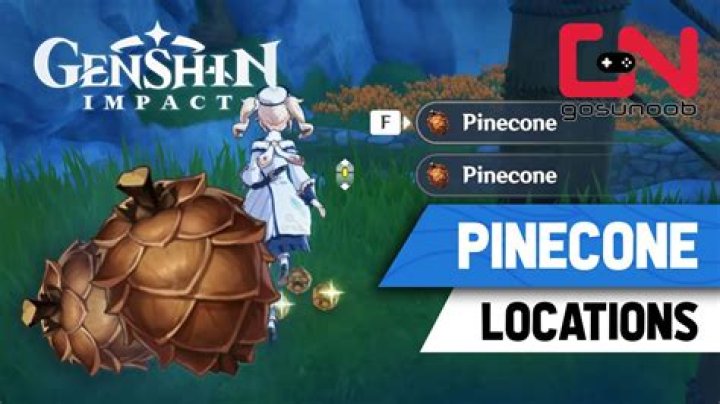 Where To Get Pine Cones In Genshin Impact