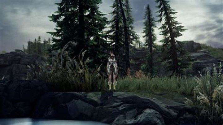 Where to find Regent’s Donkey Ears in Lost Ark – Hidden Story