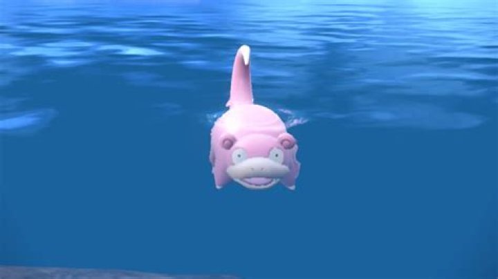 Where to find Slowpoke in Pokémon Scarlet and Violet