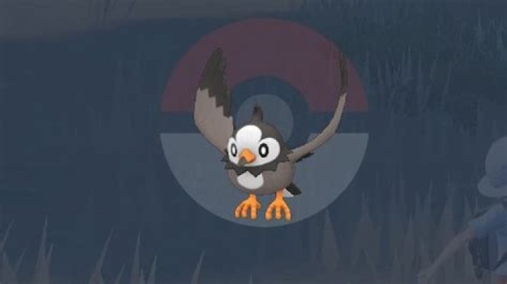 Where to find Starly in Pokémon Scarlet and Violet