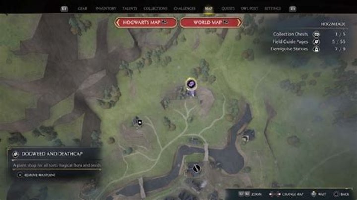 Where to find the Dogweed and Deathcap store in Hogwarts Legacy