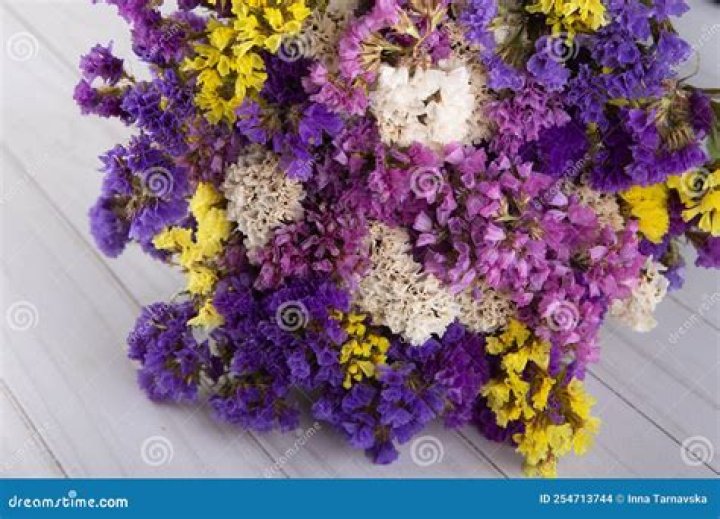 Where to find the Red, Yellow, and Purple Flowers for Malo in Stray