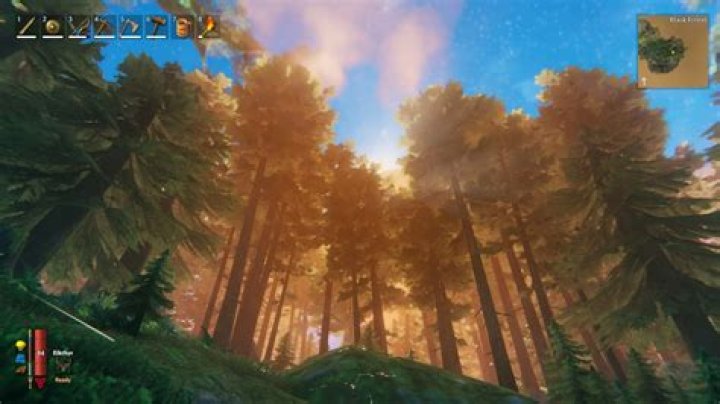 Where to find thistle in Valheim