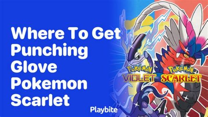 Where to get a Punching Glove in Pokémon Scarlet and Violet