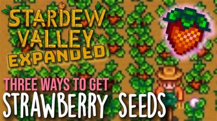 Where to get strawberry seeds in Stardew Valley