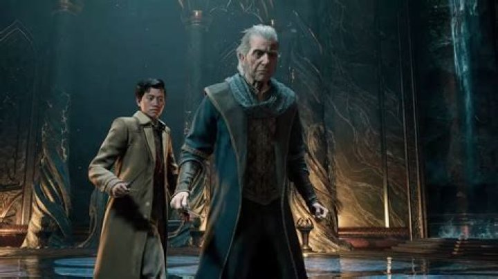 Who is Professor Figg in Hogwarts Legacy?