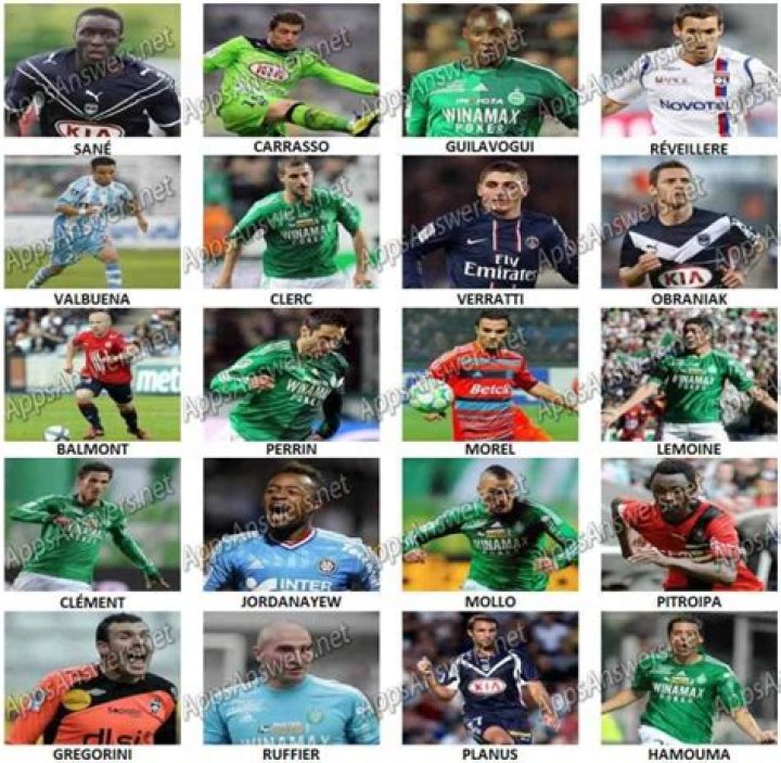 Who's The Player French Ligue 1 Level 38 • Game Solver