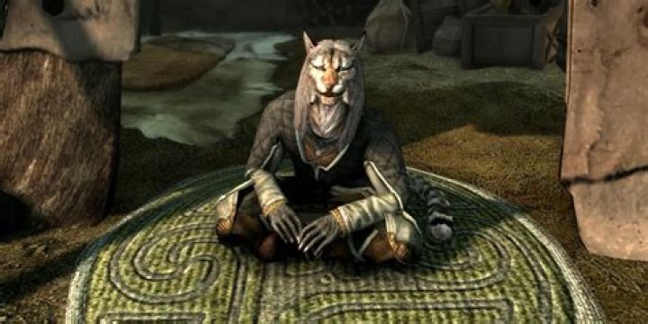 Why can't I sell some things in Skyrim?