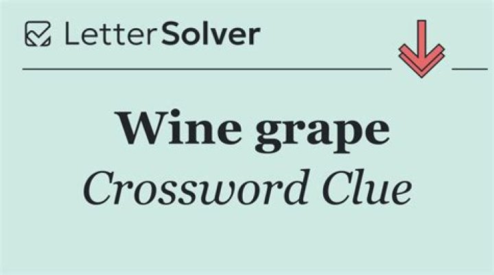Wine grape Crossword Clue and Answer