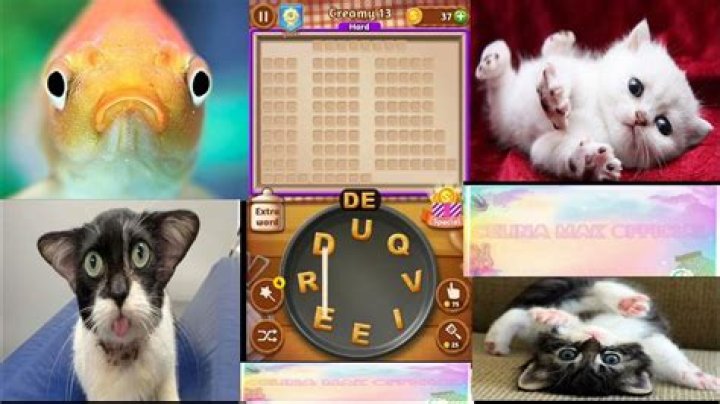 Word Cookies Wondrous Chef-Creamy Level 2 Answers • Game Solver