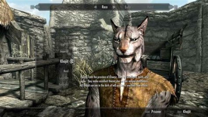 Worst Races to play in Skyrim