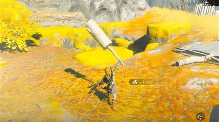 Fuse Recycling in Zelda: Tears of the Kingdom